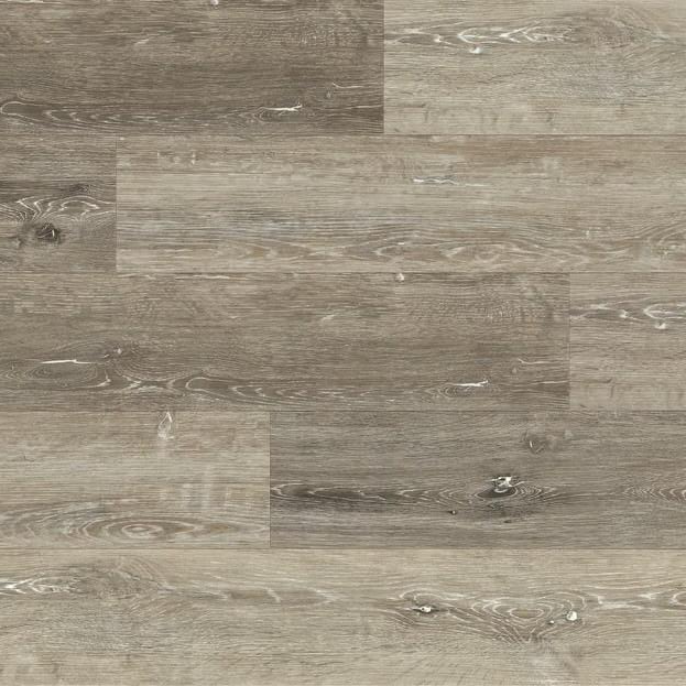 Beachcomber Elm